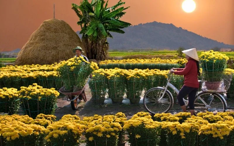 Hình ảnh chợ hoa ngày Tết 6