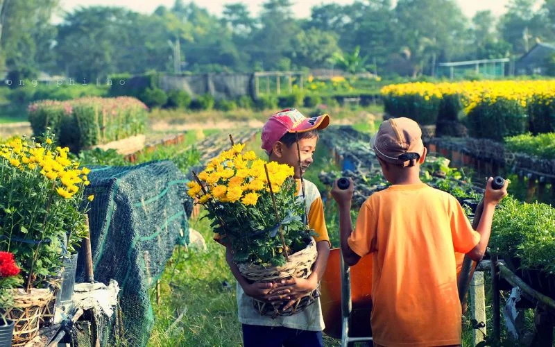 Hình ảnh chợ hoa ngày Tết 9