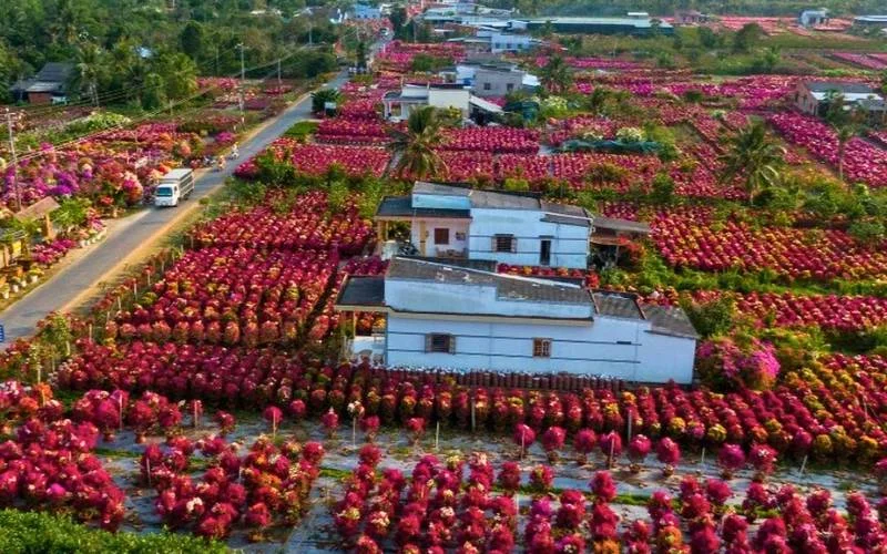 Hình ảnh chợ hoa ngày Tết 8
