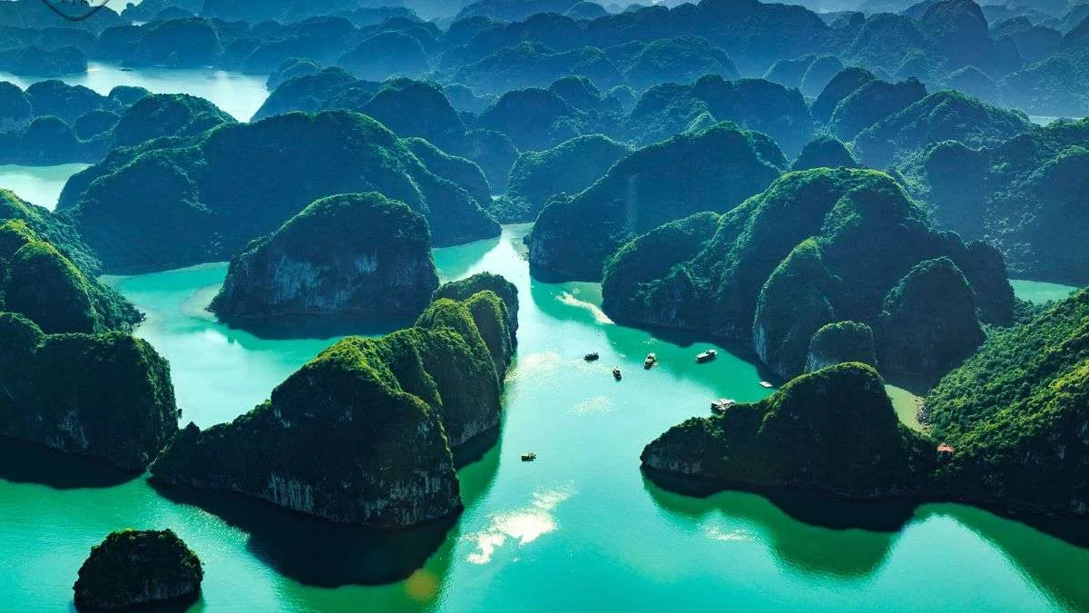 Cảnh đẹp thiên nhiên (7)