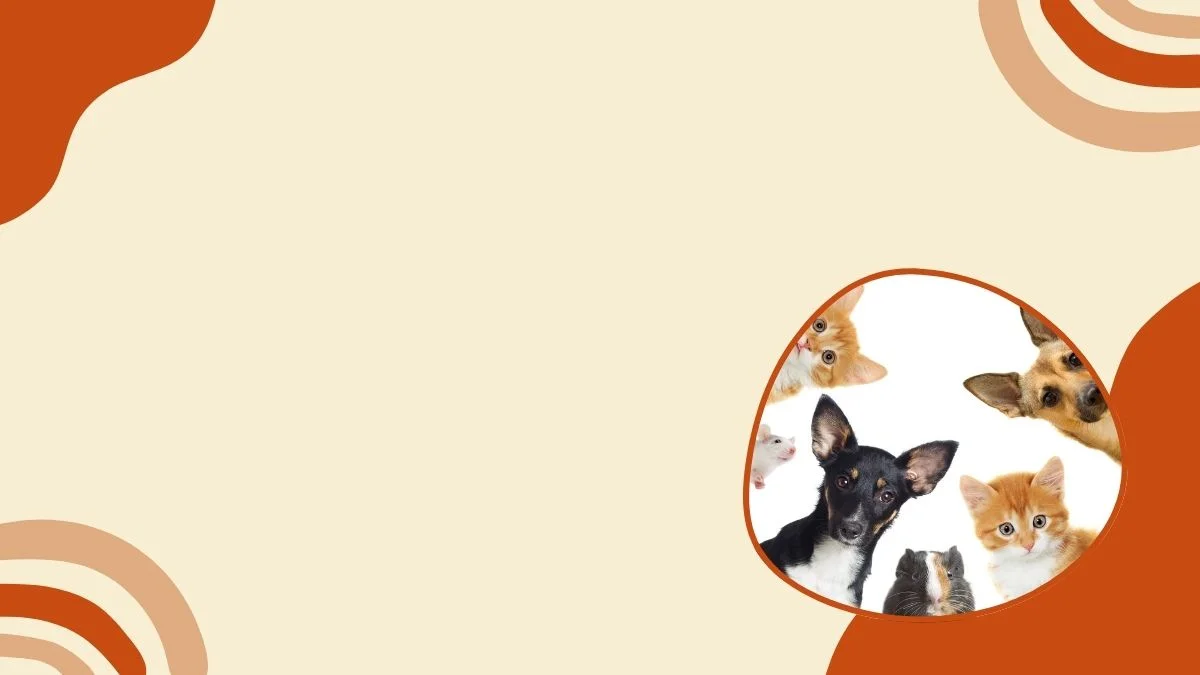Hình nền PowerPoint với phụ nữ tóc vàng đeo kính cầm cà phê